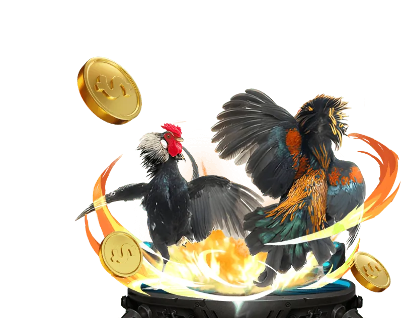 Đa dạng môn thể thao FB66